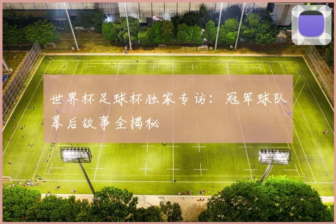 世界杯足球杯独家专访：冠军球队幕后故事全揭秘