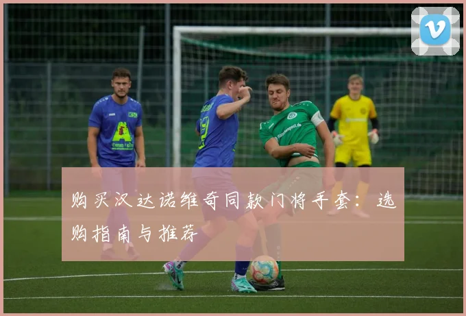 购买汉达诺维奇同款门将手套：选购指南与推荐