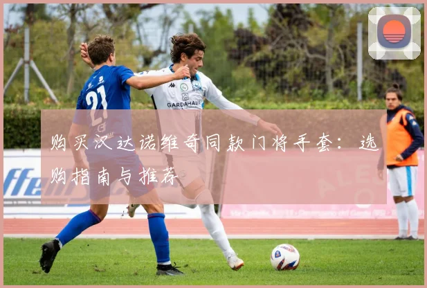 购买汉达诺维奇同款门将手套：选购指南与推荐