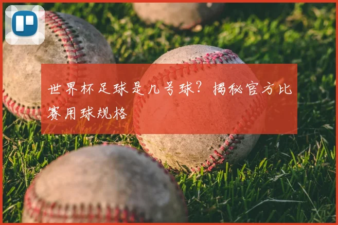 世界杯足球是几号球?揭秘官方比赛用球规格