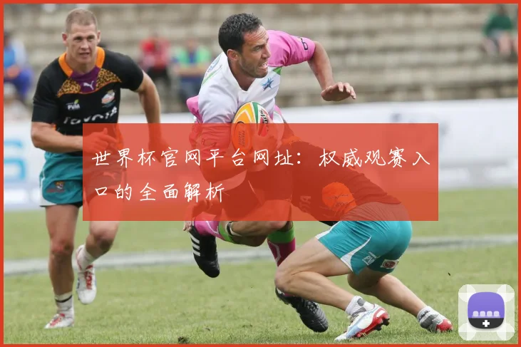 世界杯官网平台网址：权威观赛入口的全面解析