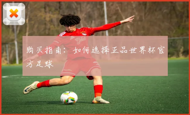 购买指南：如何选择正品世界杯官方足球