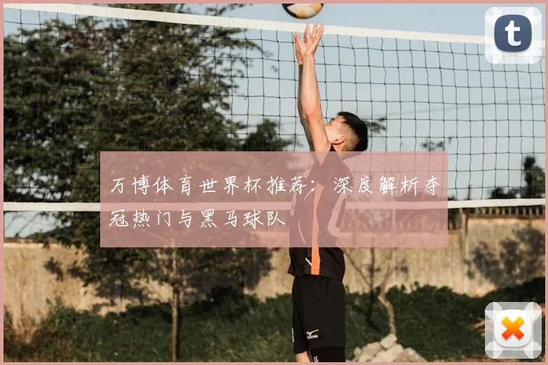 万博体育世界杯推荐:深度解析夺冠热门与黑马球队