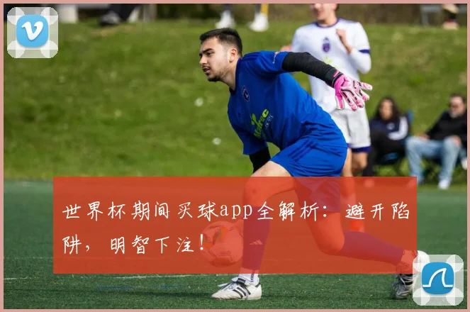 世界杯期间买球app全解析:避开陷阱,明智下注!