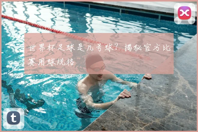 世界杯足球是几号球?揭秘官方比赛用球规格